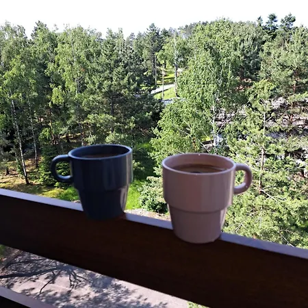 Centrum * Дивчибаре